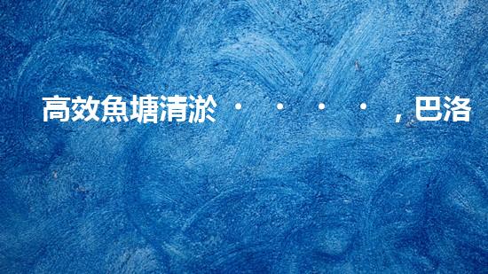高效魚塘清淤，巴洛仕設(shè)備助力生態(tài)養(yǎng)殖